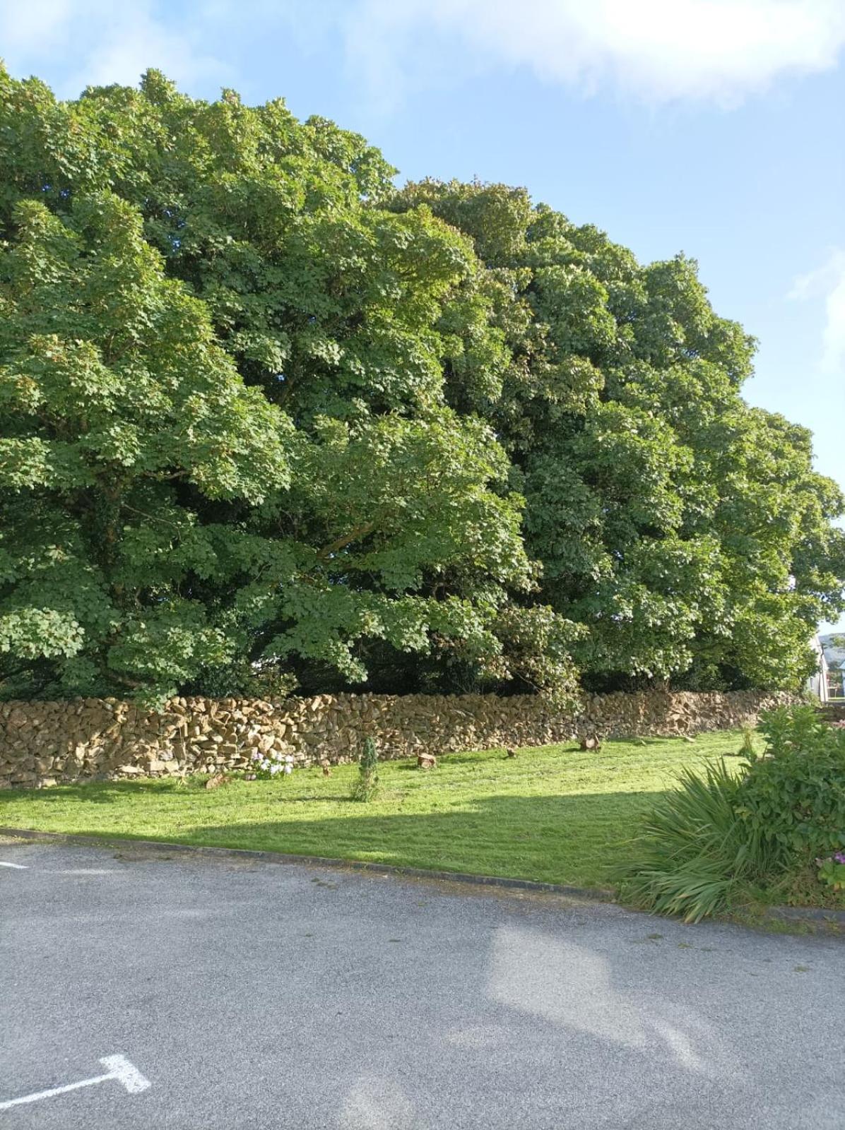 Mountain View Guesthouse Oughterard Exterior photo