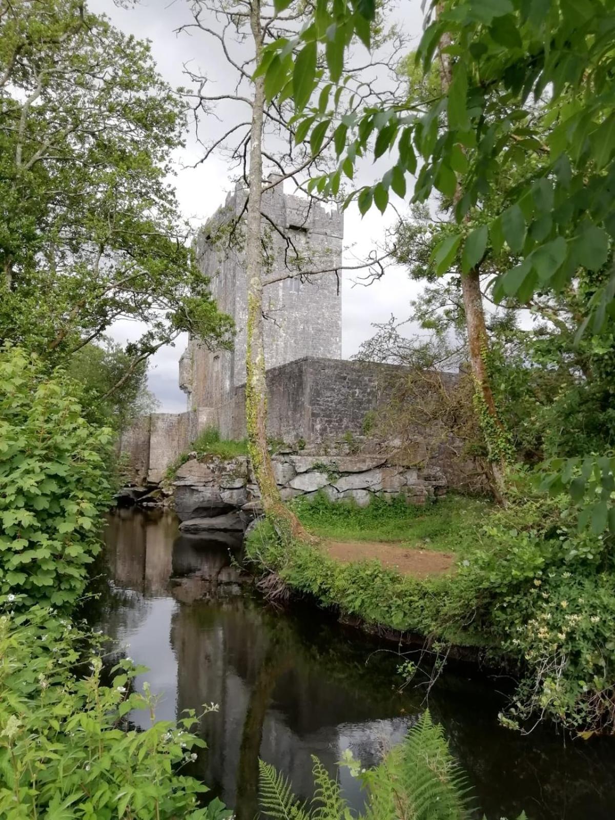 Mountain View Guesthouse Oughterard Exterior photo